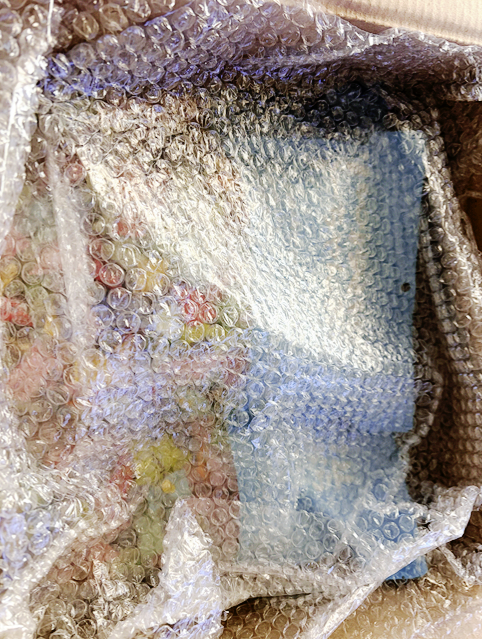 우미네 아코 🪼🫧 tweet media