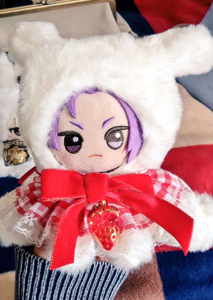 本日お迎えしたぬい服ですかわいい🎶