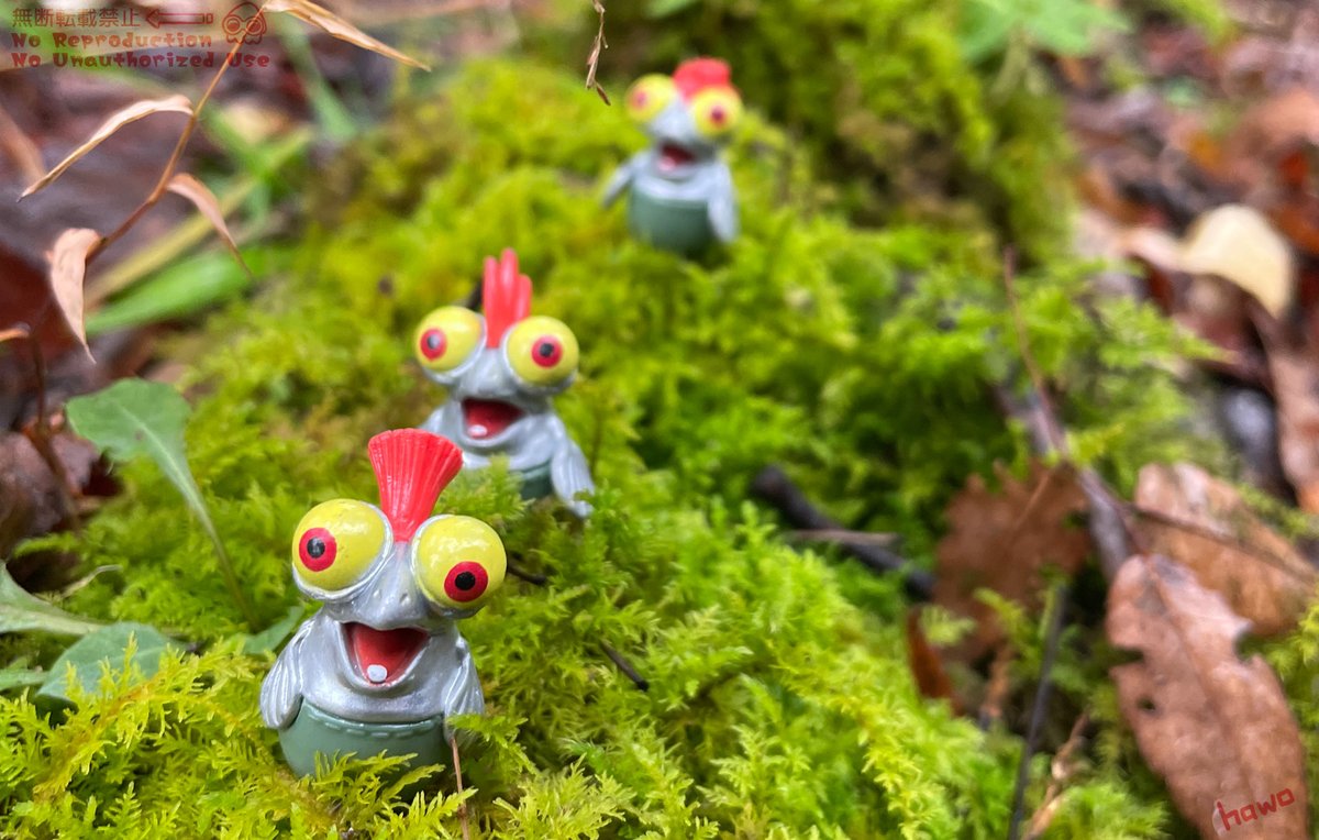 さんぽ🌳🐟🐟🐟🌳