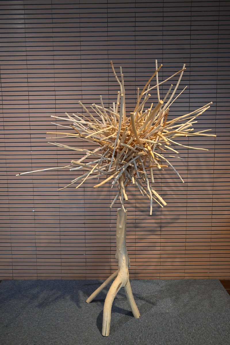 【＃今日の樹華】
8日目。昨日は向かって左上に飛び出していた枝が、今日は見当たらず…。この作品は枝の「抜き差し」で形が変化していくので、ささっている枝を抜くことももちろんOKです♪ ぜひお試しください。
＃旭川美術館　＃砂澤ビッキ