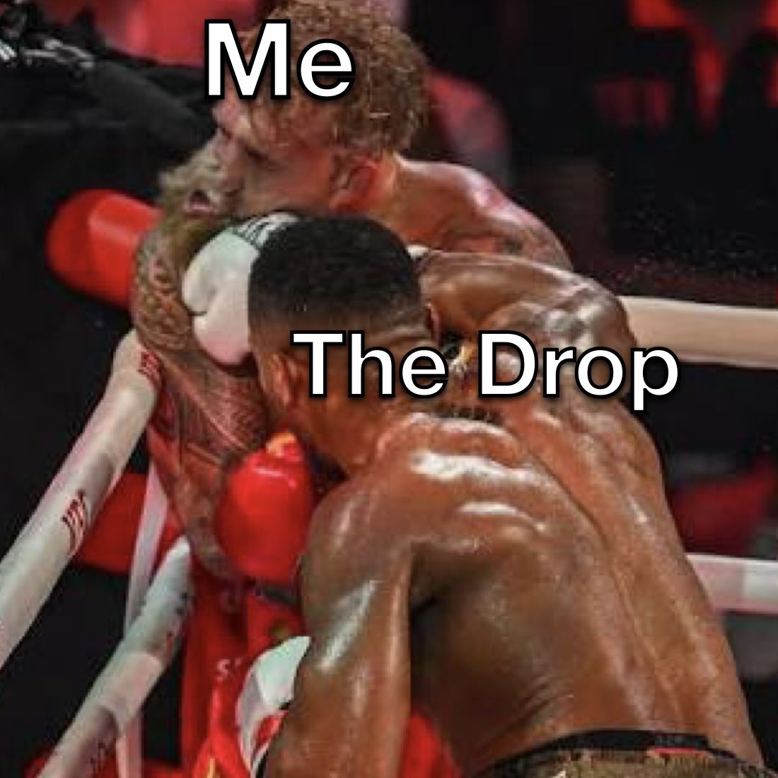 WE ARE THE HERD 🦕 (@theherd_og) on Twitter photo 