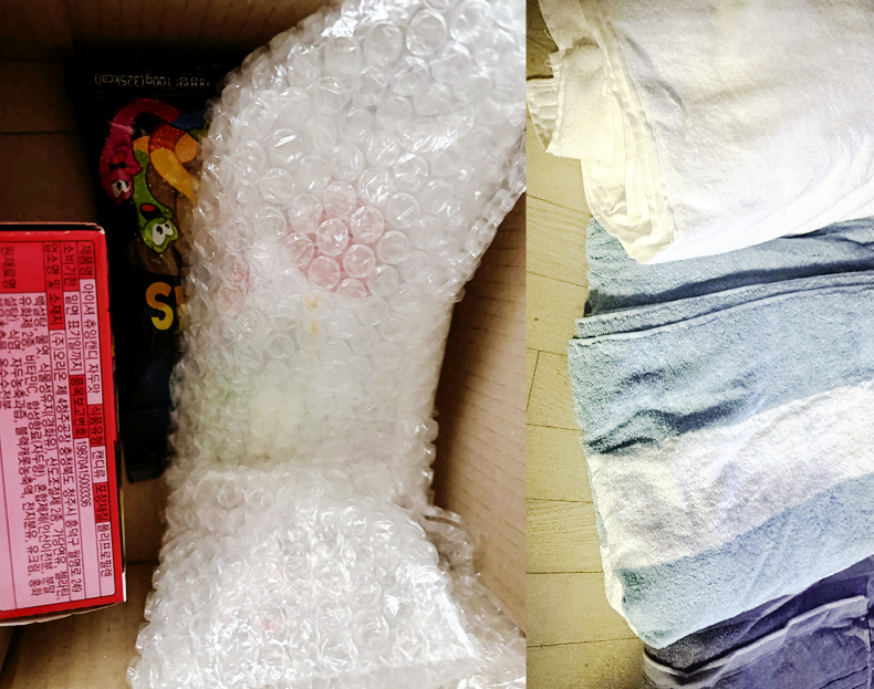 우미네 아코 🪼🫧 tweet media