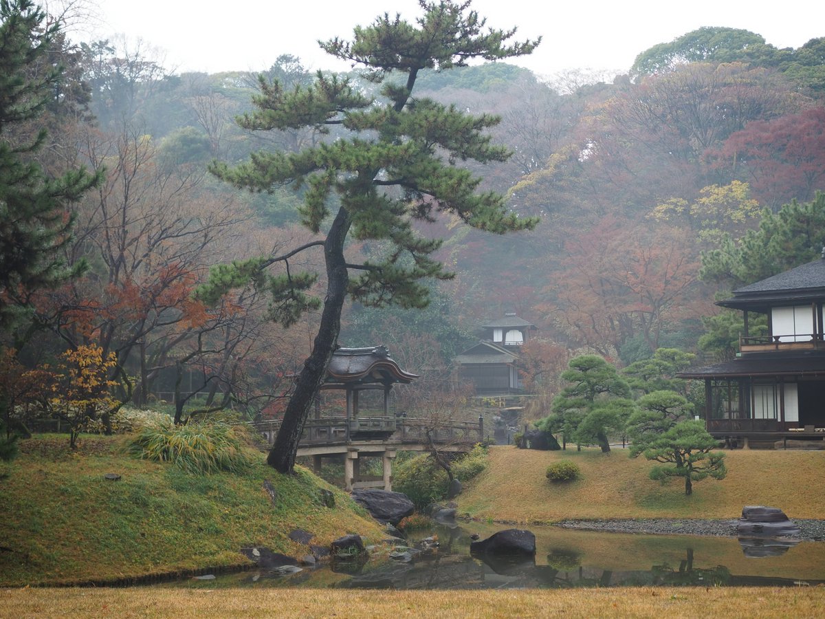 HSankeien's tweet image. スイセンが外苑・臥竜梅の下と、南門～海岸門の辺りで少しずつ咲き始めました。
露にぬれる草花も、霧がかった内苑も、小雨が降ったり止んだりの今日のお天気ならではの景色です。