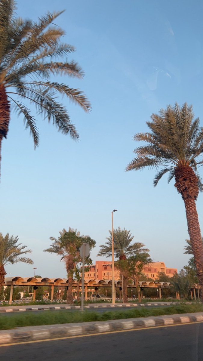 perfshoog's tweet photo. صباح اول فاينل بترم التخرج 🥺🎓 https://t.co/DJvid0oyZF
