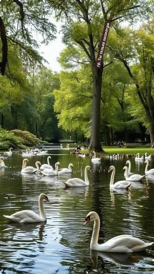 Mutlu Sabahlar Günaydınlar.☕🎼