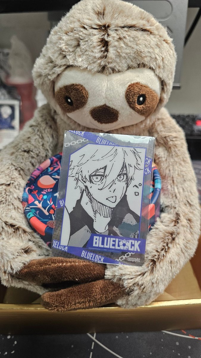 盒马的树懒巧克力礼盒好萌。。