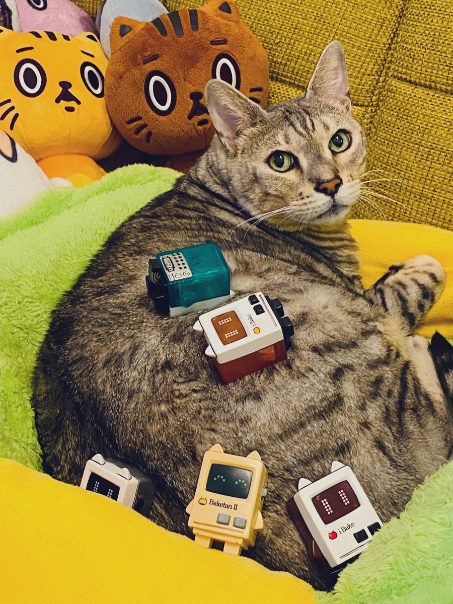 バケタンブログ　どうしても干支にはいりたい　ソフビ　三体セット バケタンブログ ソフビセット - メルカリ