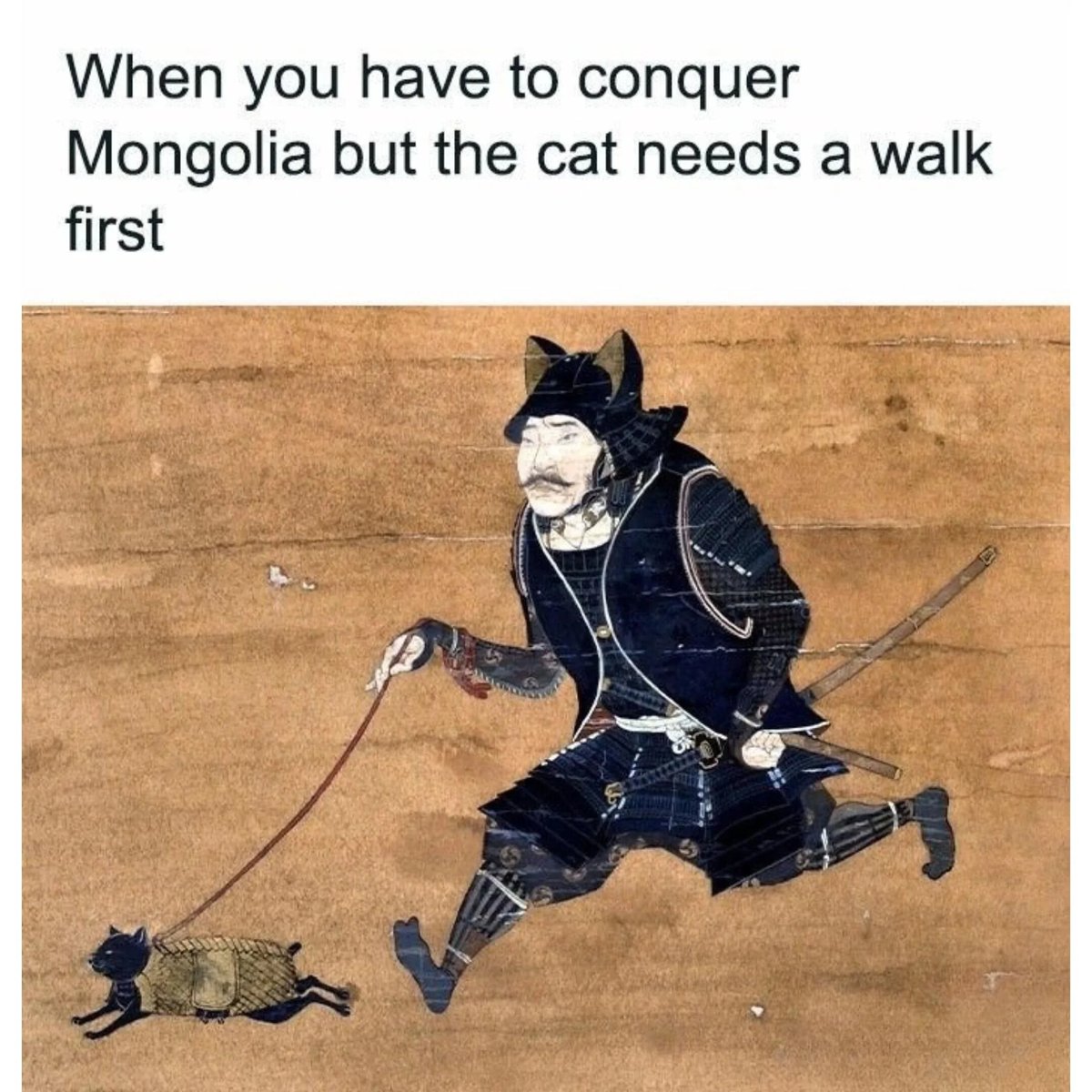 WholesomeMemes (@wholesomememe) on Twitter photo 