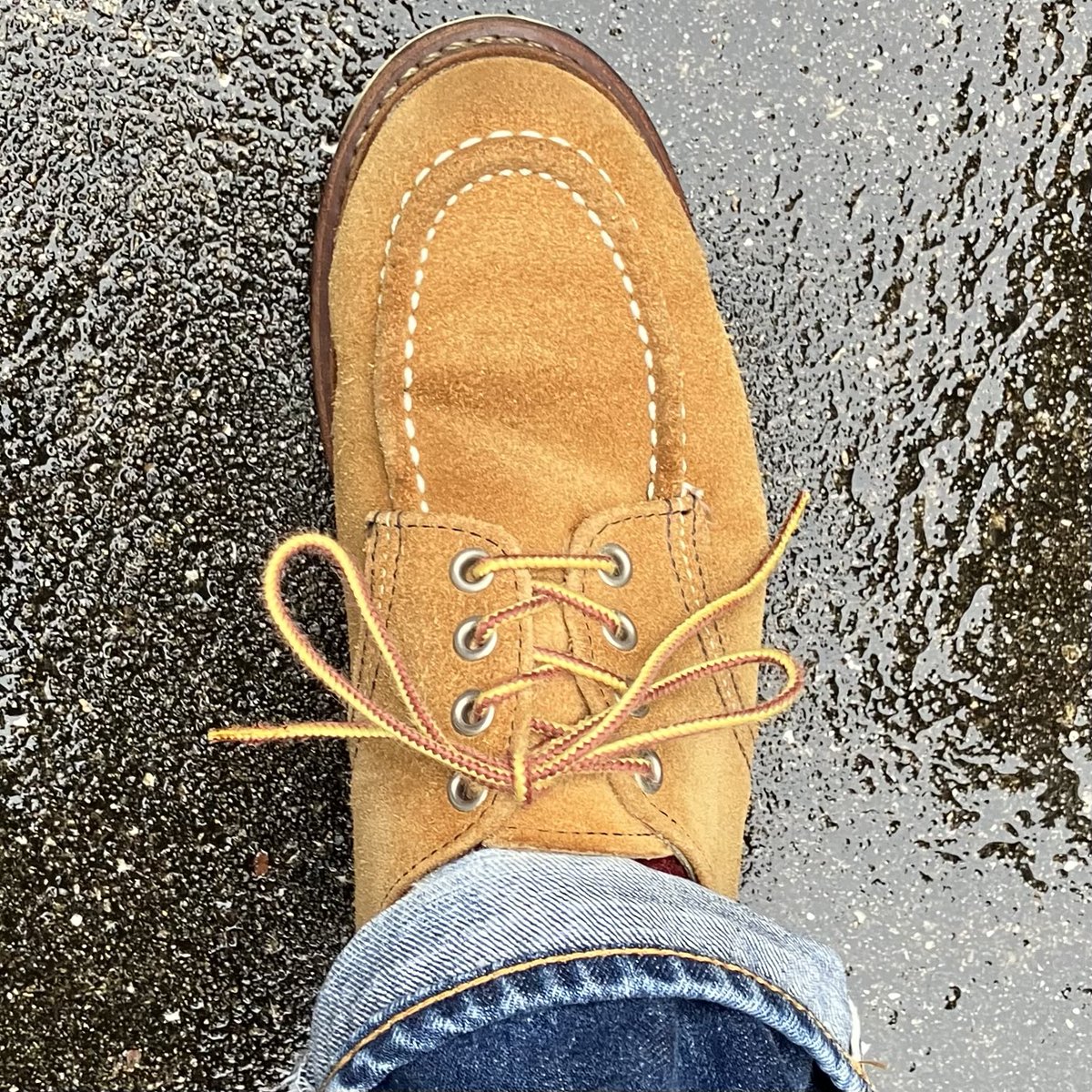 かばちゃん (@kabachan1022) / Posts / X