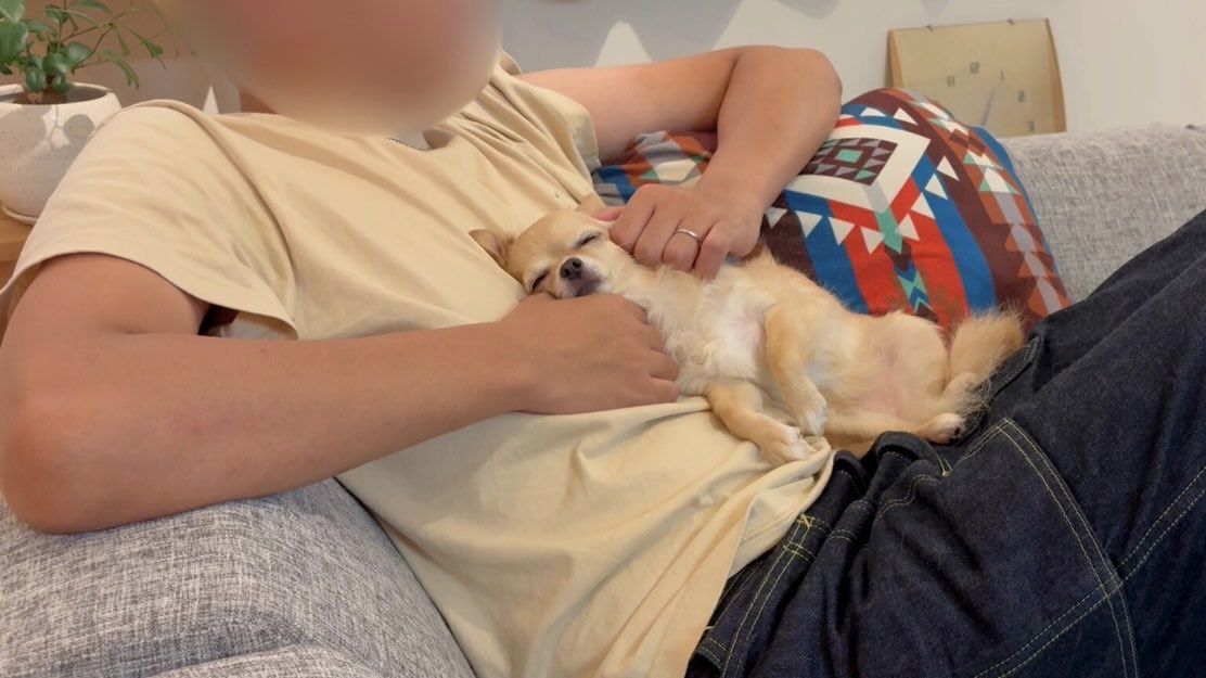 ニコちゃん Yahoo!オークション - ニコちゃん大王 ＆ ニコちゃん家来 ソフビフィギ