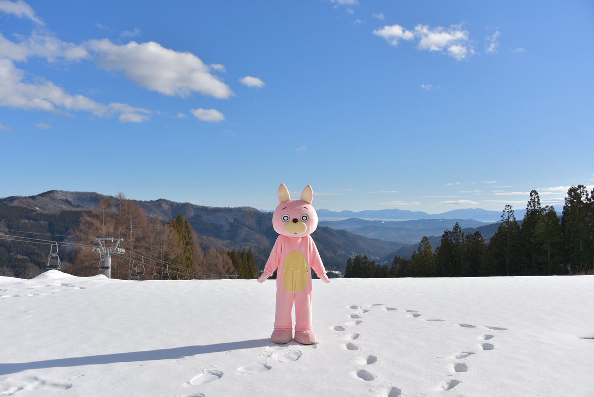 まるでAI生成のようですが、これ、リアルなんよ。