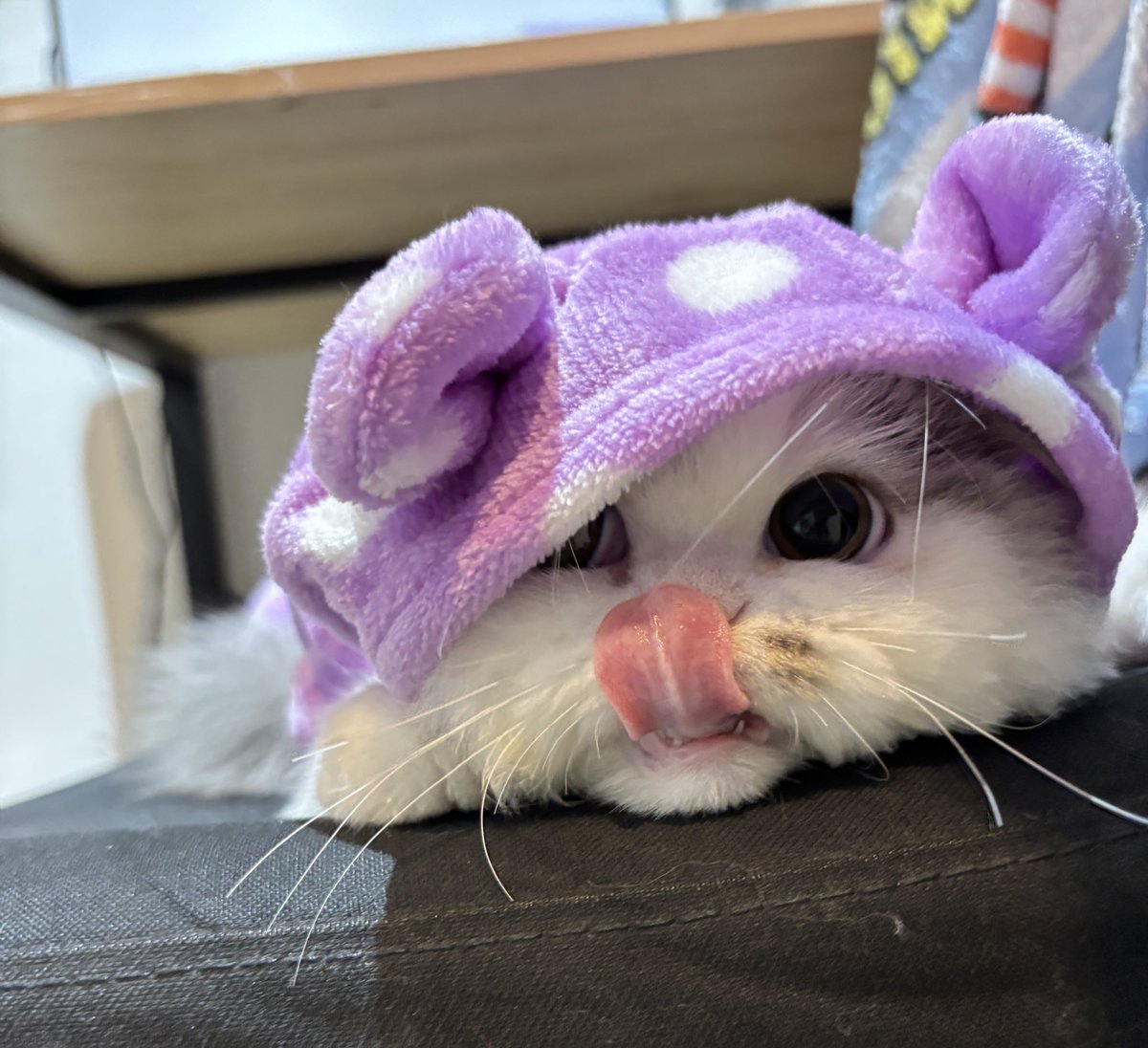 เสื้อใหม่มาแล้วค้าบ🤣