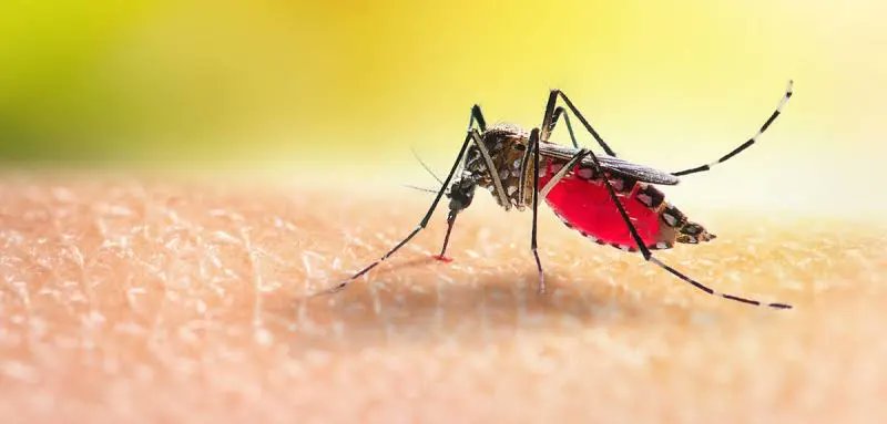 Mr.Rapha tweet media