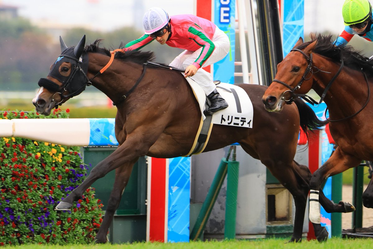 JRA VAN限定 エフフォーリア レーシングパネル JRA VAN限定 エフフォーリア レーシングパネル JRA-VAN公式