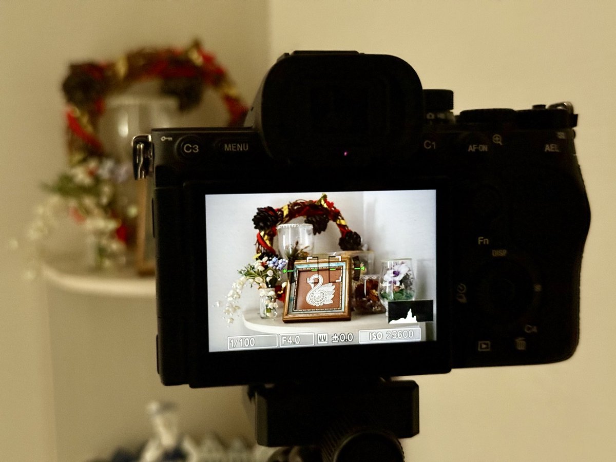 達磨（Dharma） (@nao33nao33) / Posts / X