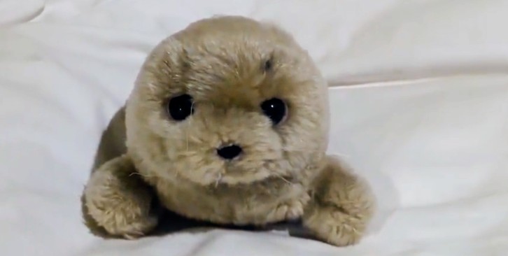 【拡散希望】
昨日(12/20)、大阪の難波でアザラシのぬいぐるみを紛失しました。
とても大切な物でどうしても諦められずまだ探しています。
コンビニのビニール袋に入れていました。
見かけた方はどうかご連絡ください。よろしくお願いします。
手のひらに乗るほどのサイズです。