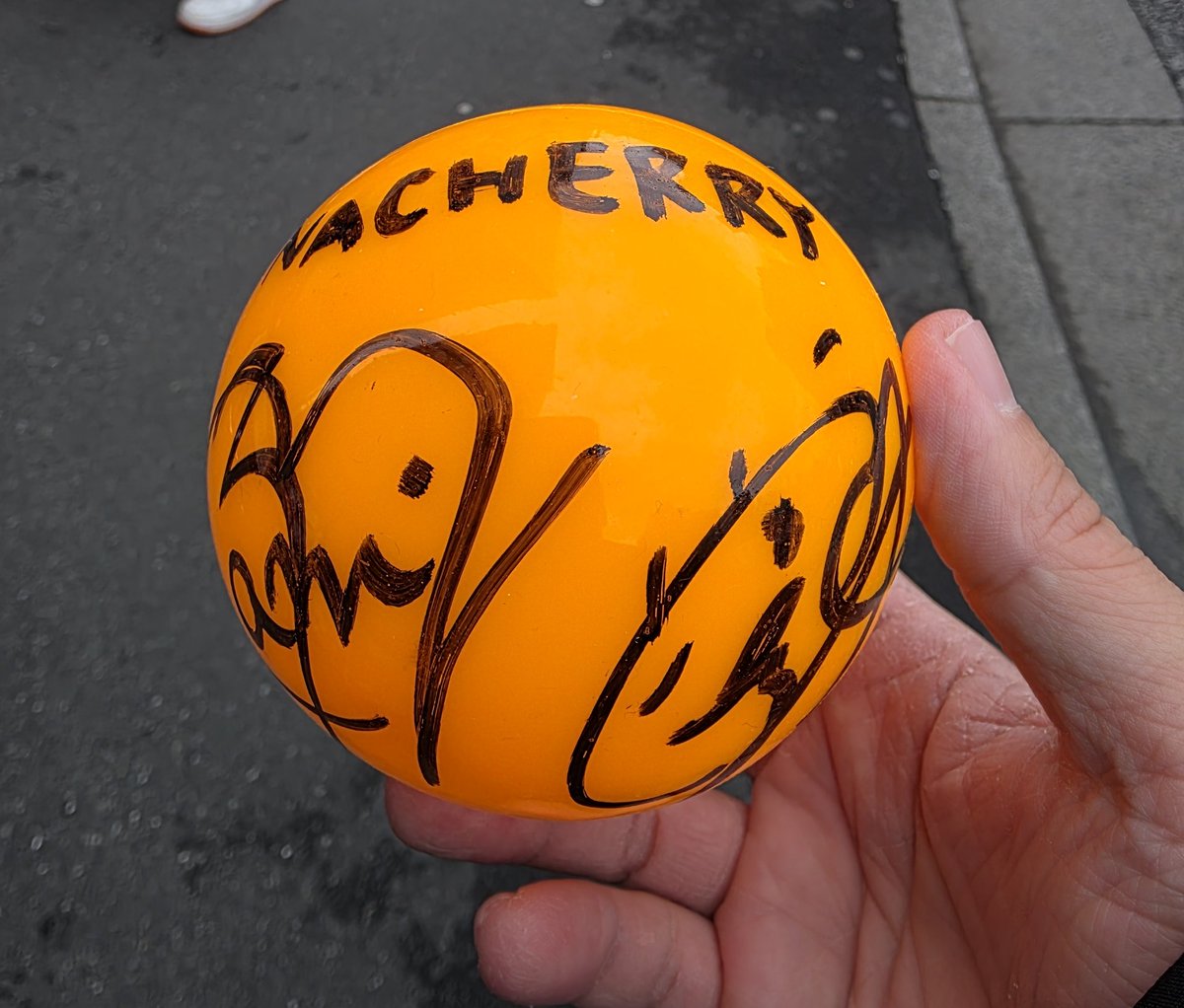 ニアジョイ ガラポン サイン入りパネル 2025年最新】ニアジョイ パネルの人気アイテム - メルカリ