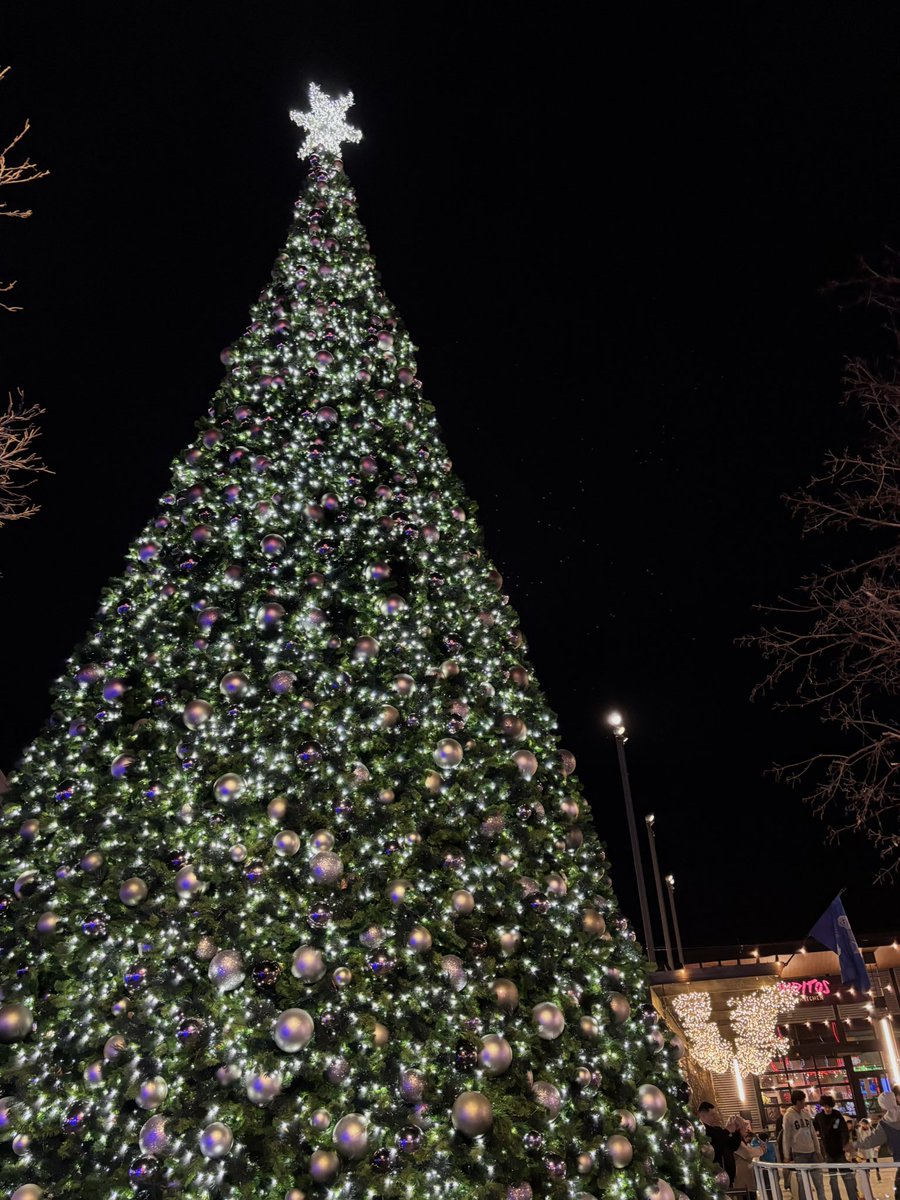 트리 앞에서 친구랑 둘이 셀카 찍고 있는데 지나가던 남자가 자기가 우리 둘 사진 찍어줄테니까 자기 커플도 찍어줄수잇냐고 함 그래서 알겟다하고 폰 받앗는데 영상으로 찍어달래는거임? 그러더니 영상 찍고 있는데 갑자기 반지랑 꽃 꺼내들고 여친한테 프로포즈 함..... 🥹 도파민싹돌음