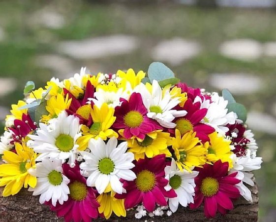 Günaydın 
Hayırlı Pazarlar 💐