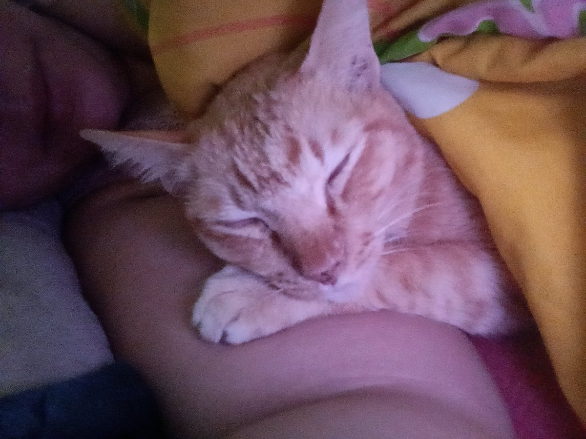 ภาพแรกที่ต้องตื่นมาเห็นทุกวัน ทำไมพวกมันช่างมีความสุขจัง