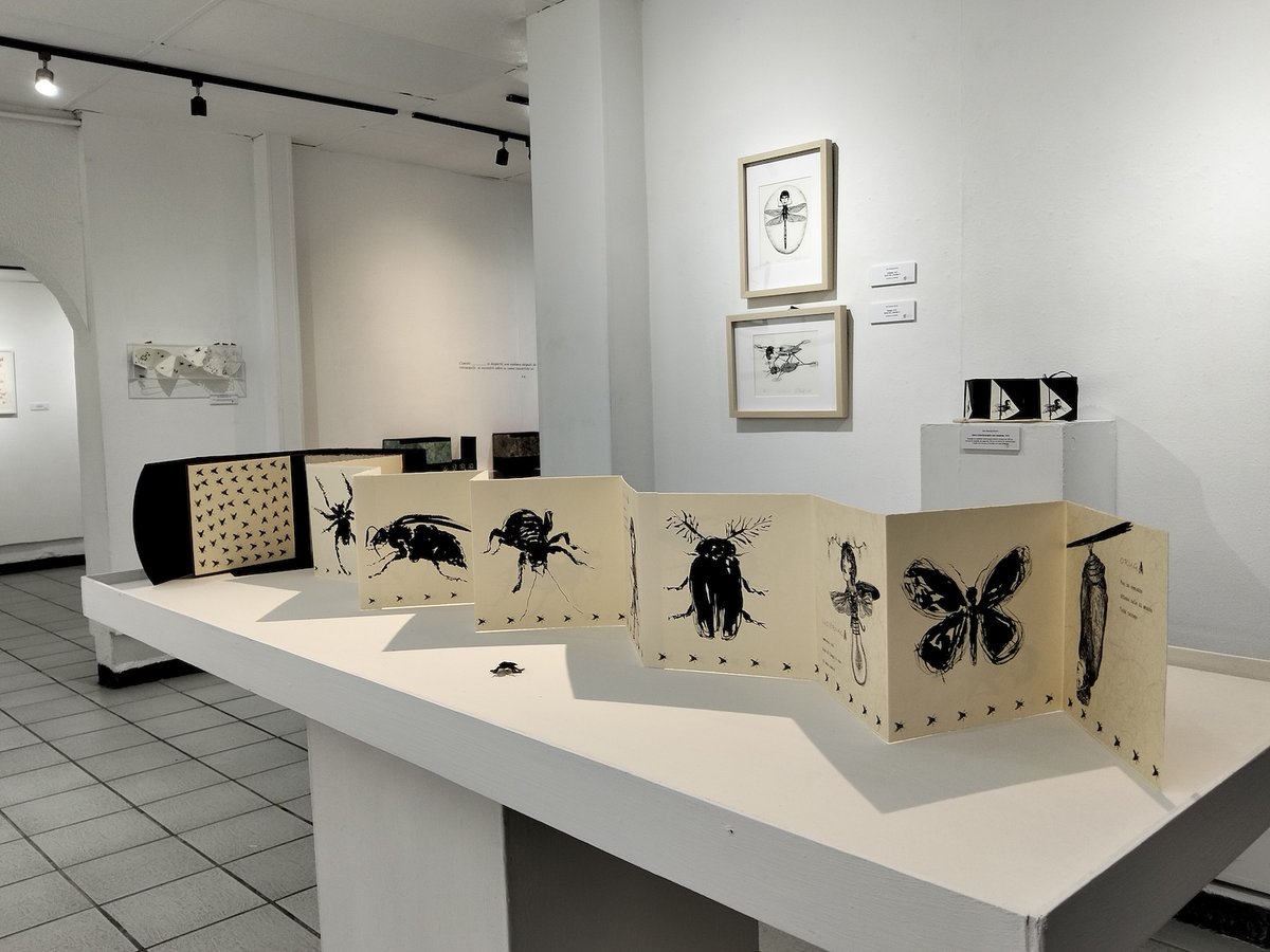 Salón de la Plástica Mexicana tweet media