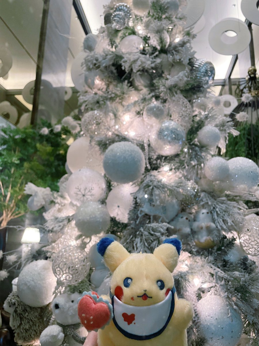 ストリングス表参道の
ホリデーアフタヌーンティー 🎀🤍❄️.*˚

かわいくて美味しくてだいまんぞく♡
アラカルトで注文したアヒージョも美味しすぎて、つぎはお酒飲みに行くと決めたᴖ ̫ᴖ❕