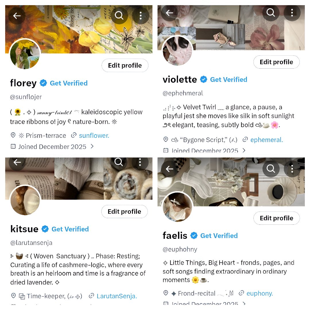 viz 🌟 sell acc akun kosongan X tweet media