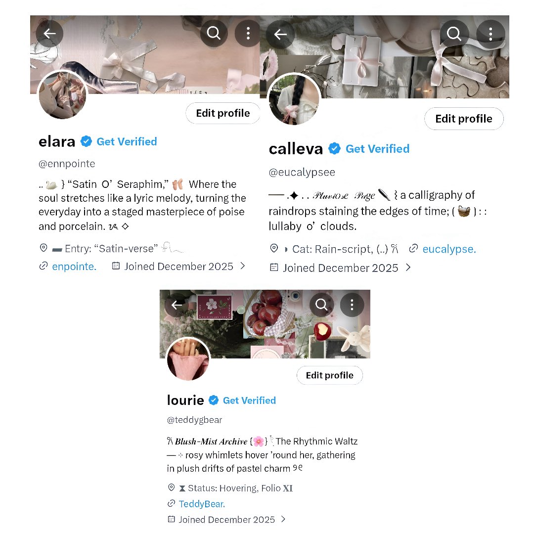 viz 🌟 sell acc akun kosongan X tweet media