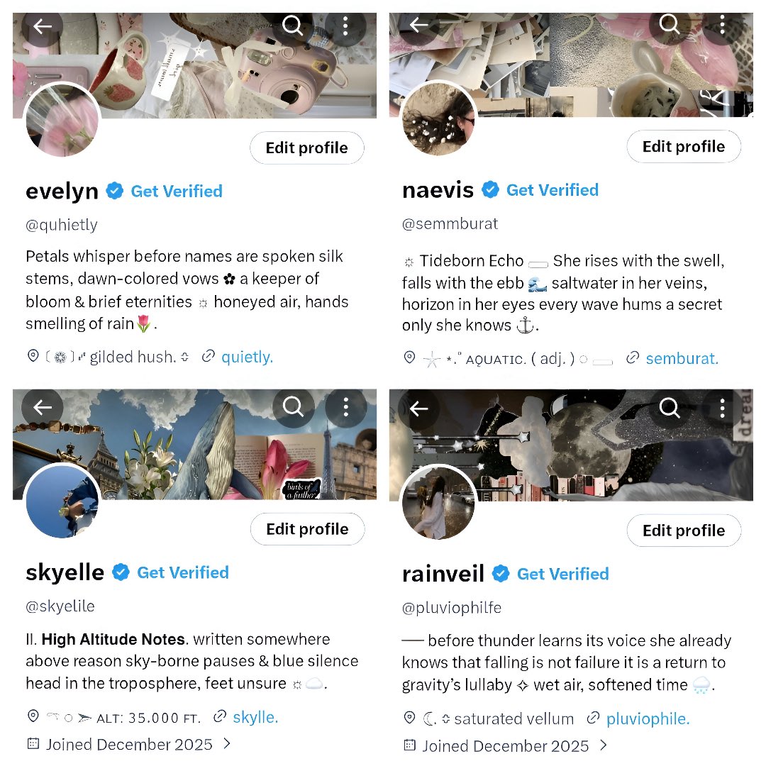 viz 🌟 sell acc akun kosongan X tweet media