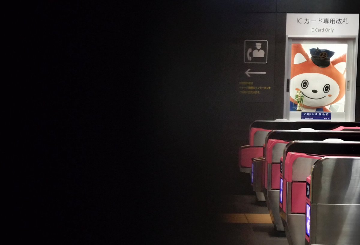 よしよし 🍤 (@yoshi228yoshi) / Posts / X