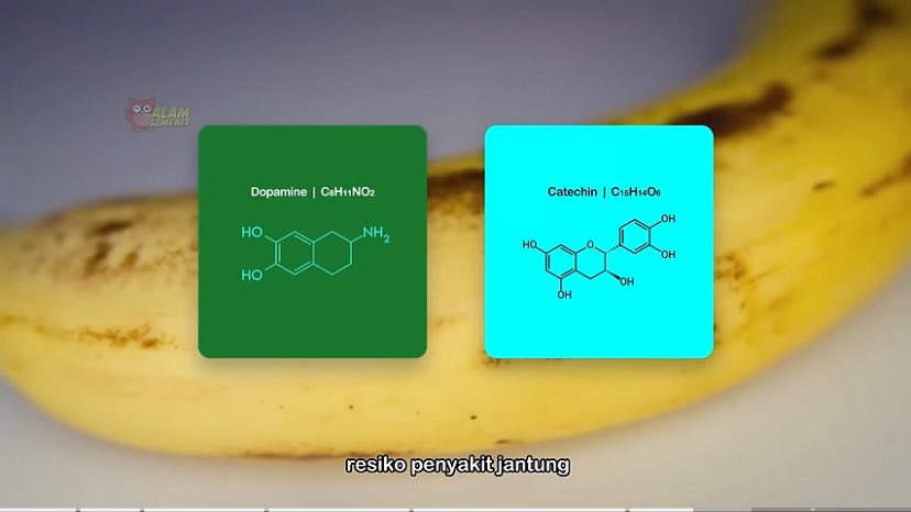 <a href="/txtdaritaxpayer/">txtdaritaxpayer</a> Maaan. Lu perlu melihat konten <a href="/AlamSemenit/">AlamSemenit</a> buat memutuskan pisang itu buah medioker atau tidak. Cek mulai menit 18:36. 

Pisang buah super. Beliau punya kemampuan mengikat lemak buat mengurangin pembetukan plak 

Justru digoreng bakal ngurangi manfaat beliau. 

Damn brooo daaamn