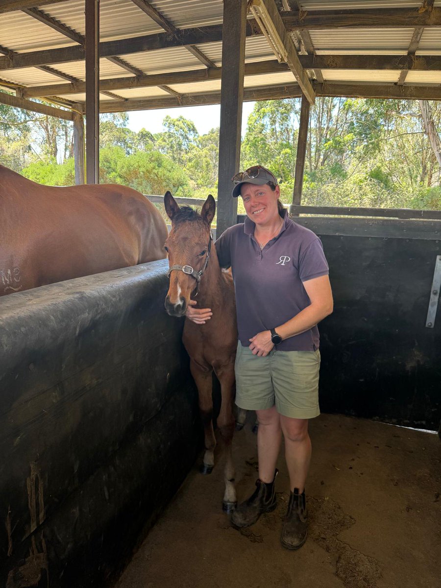SperiamoHorse's tweet image. Earlier this month we relocated four of our mares (two with foals at foot) to @Rheinwood in the Southern Highlands. These lucky horses are going to receive expert care and attention from Kirsty, Dee and all the staff. Here's Dee with little "Daisy"! 🥰
#NewBeginnings
