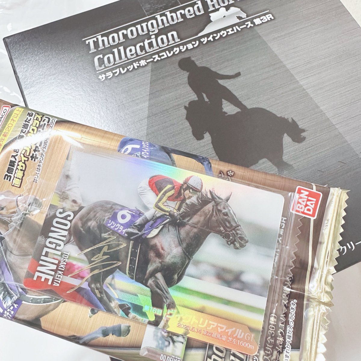 ソングライン 直筆サインカード ( サラブレッドホースコレクション ) ソングライン 直筆サインカード ( サラブレッドホースコレクション