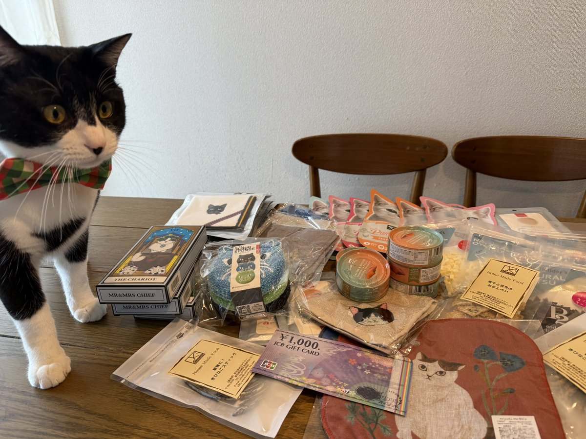 きじとら@nyan (@kigitorakun) / Posts / X