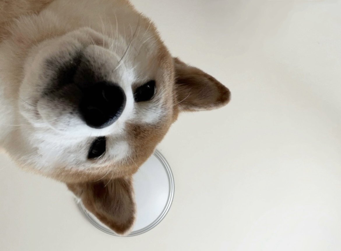 いいですか、落ち着いて聞いてください 2 0 2 5 年 は あ と 10 日