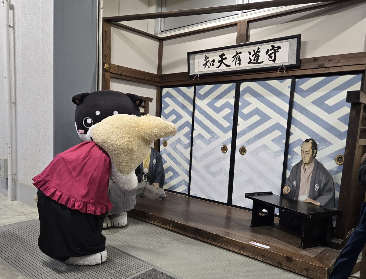 和み柴っこ【公式】 (@nagomi48) / Posts / X