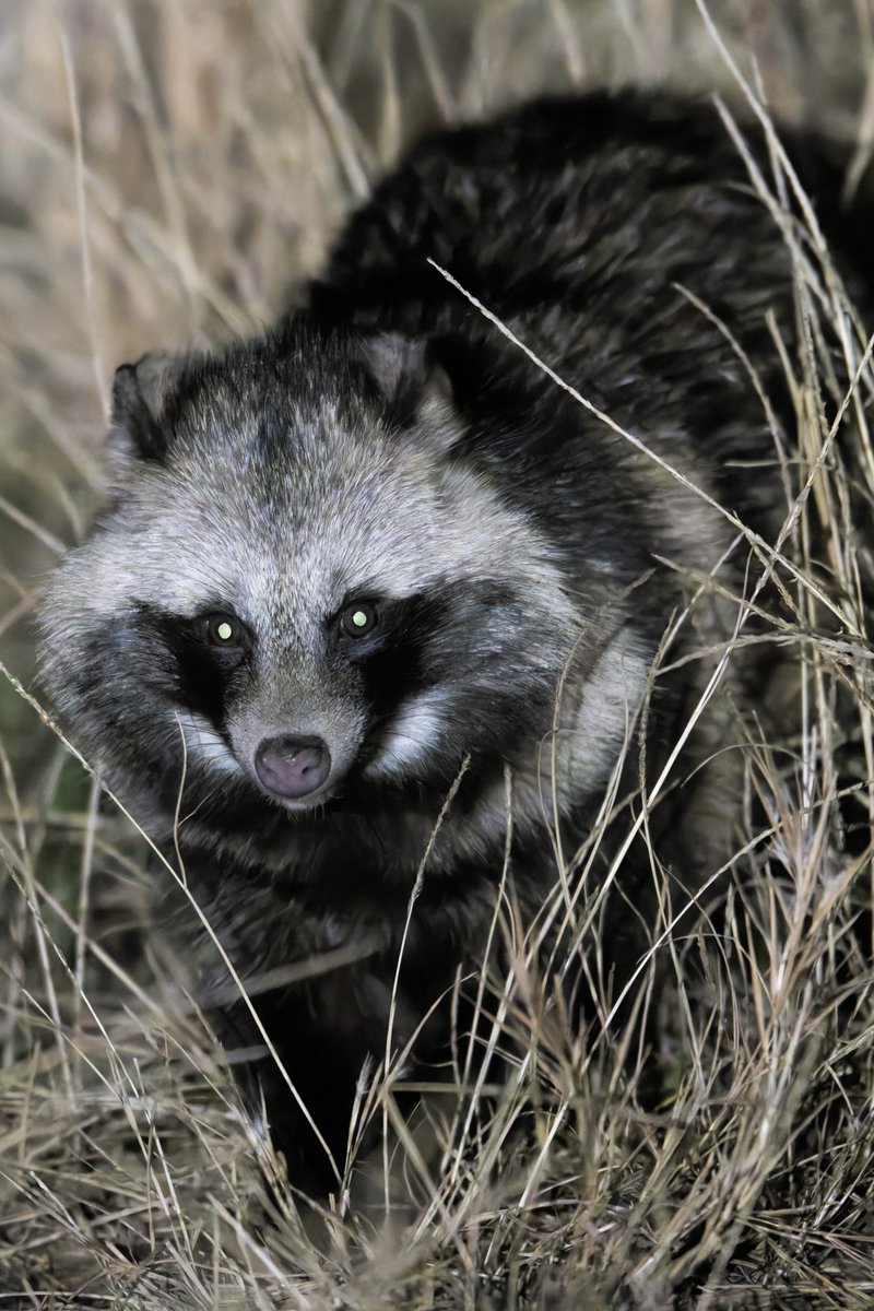 2ヶ月後→5ヶ月後😂😂😂😂