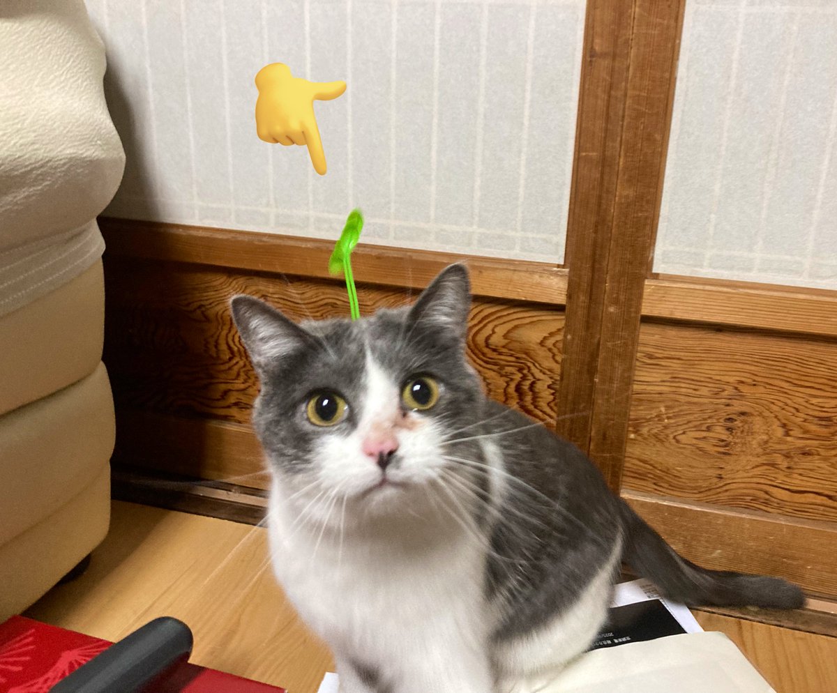 🍨おしや🍨1/11:6D-J31a (@0shiya) / Posts / X