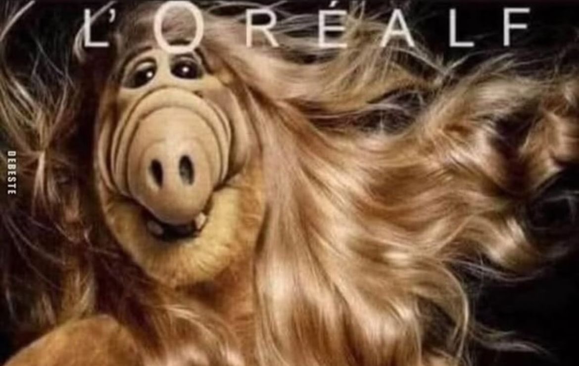 vriendje_van (@hobbyverslaafde) on Twitter photo 