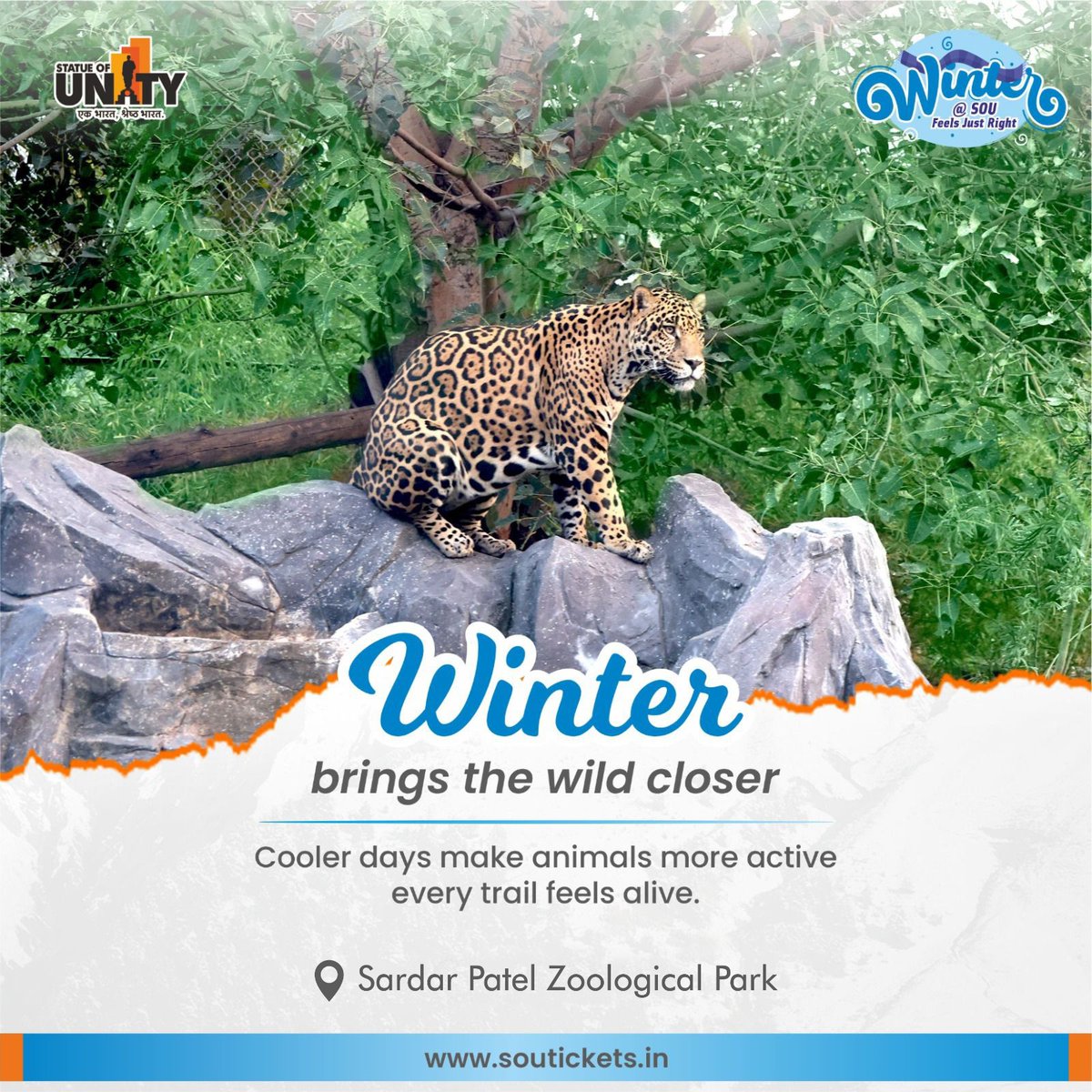 souindia's tweet image. The animals are out, the weather is perfect, and the vibes are unmatched. Winter at the Statue Of Unity, Zoological Park hits different.

#SafariVibes  #WinterSun #DecemberVibes  #JungleSafari #WildlifeAdventure  #NatureLover #Wildlife #SardarPatelZoologicalPark #StatueOfUnity