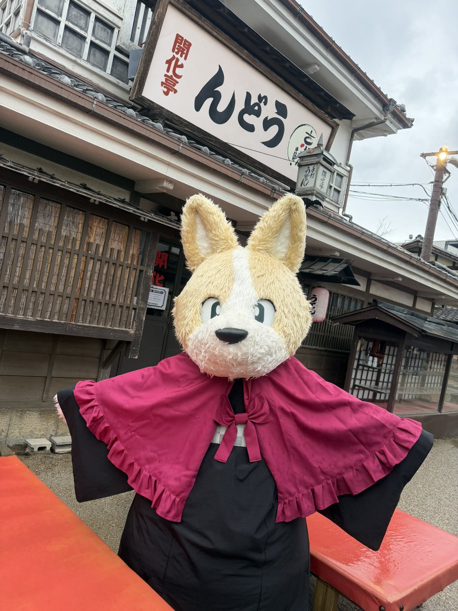 和み柴っこ【公式】 (@nagomi48) / Posts / X