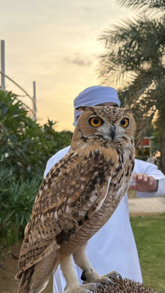 7h00d's tweet image. عشوائيّات ASU ❣️