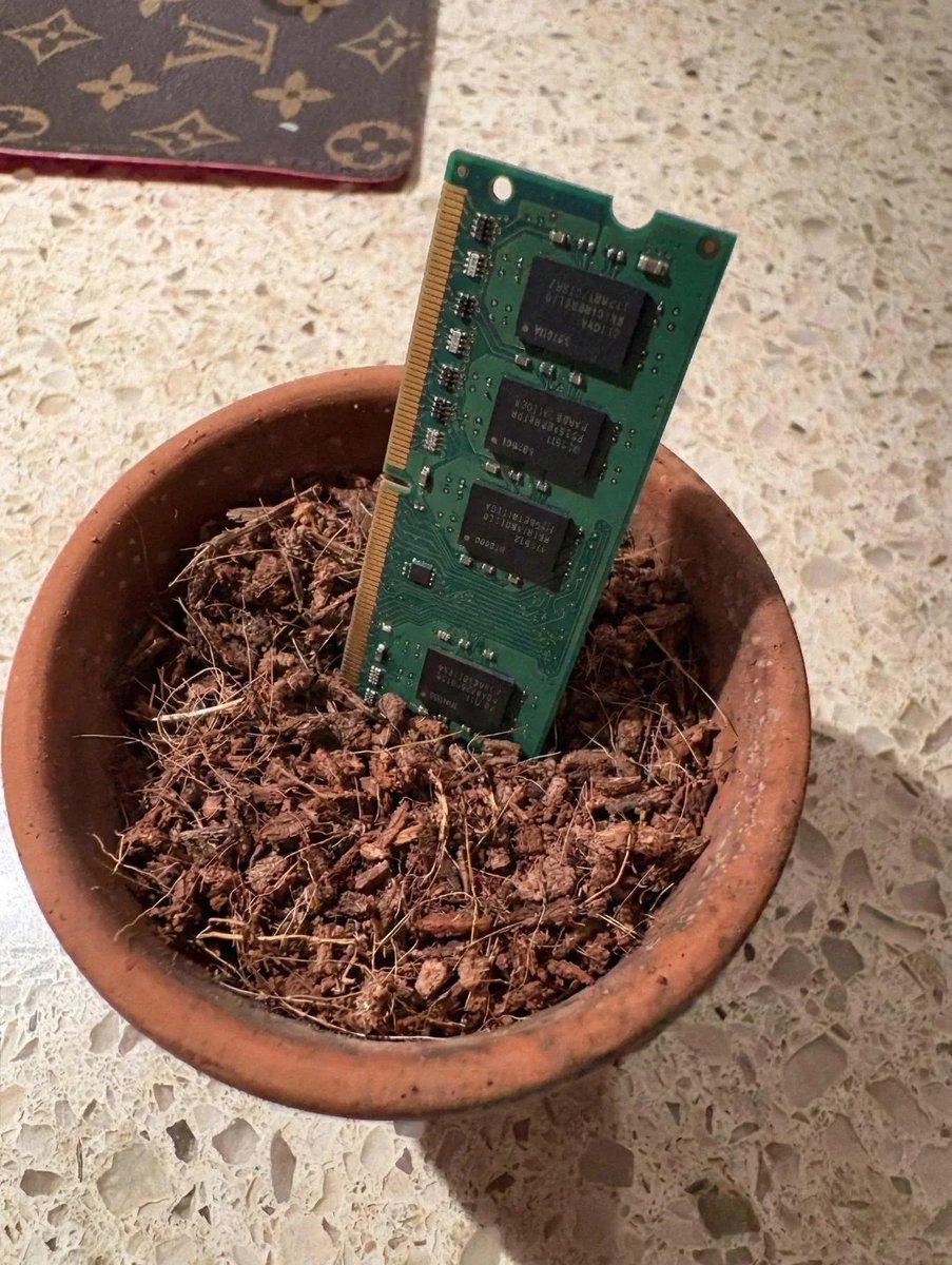 Day one of growing my own RAM