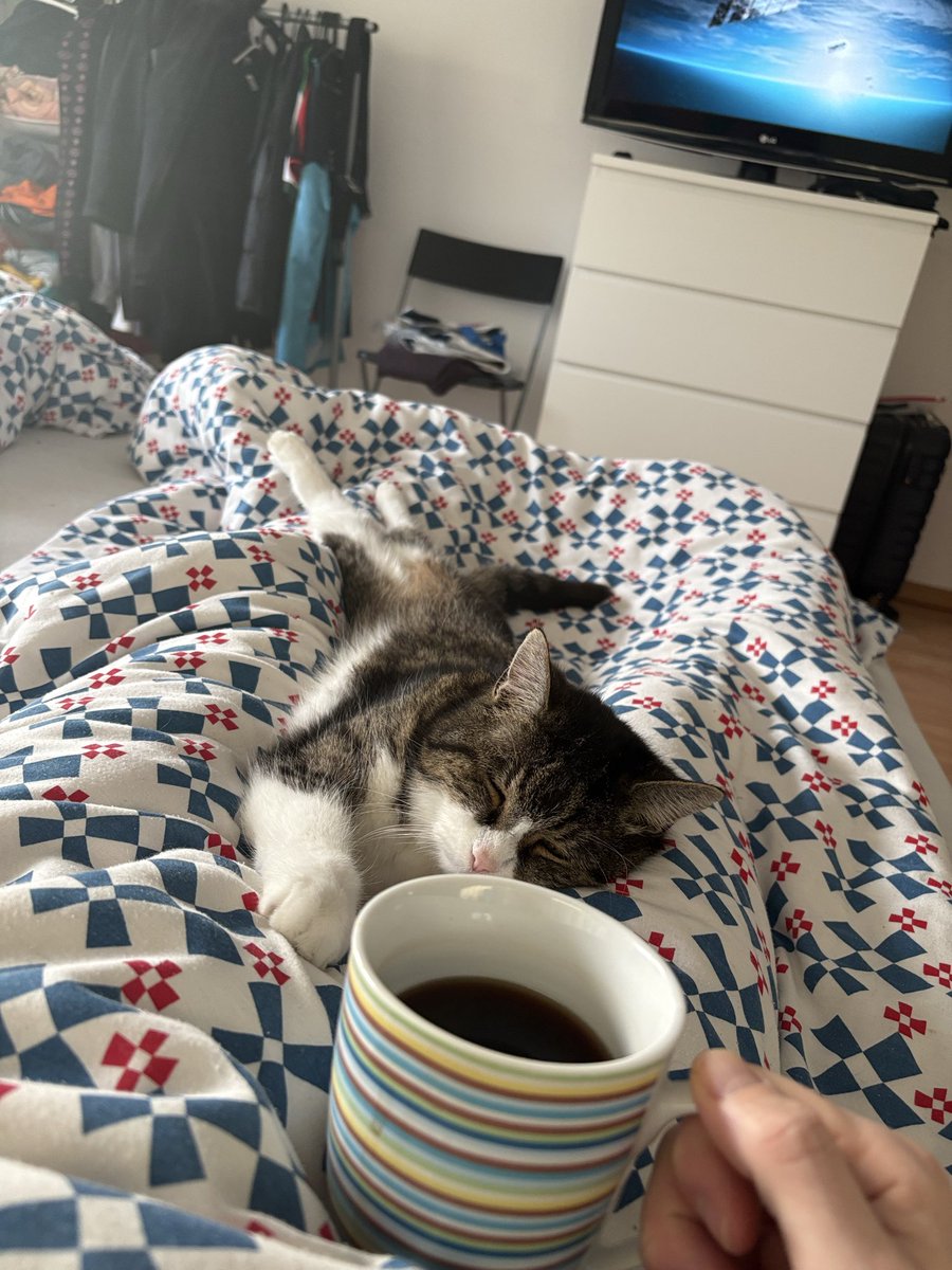 Spooky🎃AGΣNT.IX tweet media