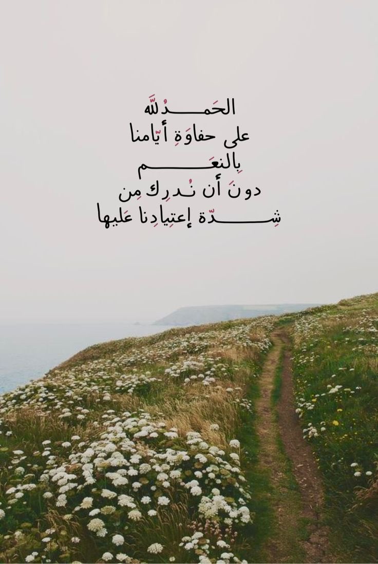 ذكر (@ill2ie) on Twitter photo 