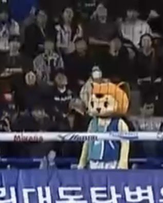 오늘자 저화질의 토랑이 🦊🦊