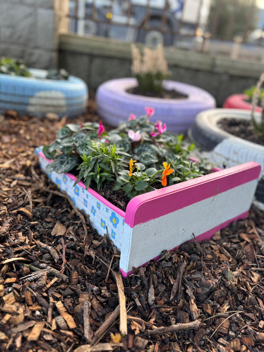 Fingal Comm College tweet media