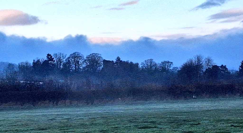 William Powell🔶🏴 tweet media