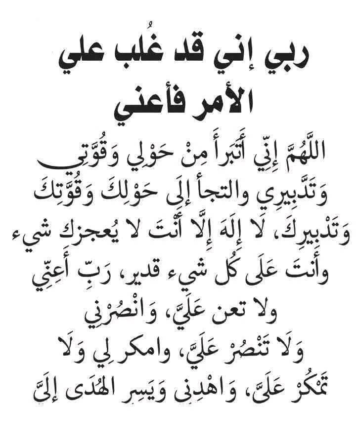Amira Youssef tweet media