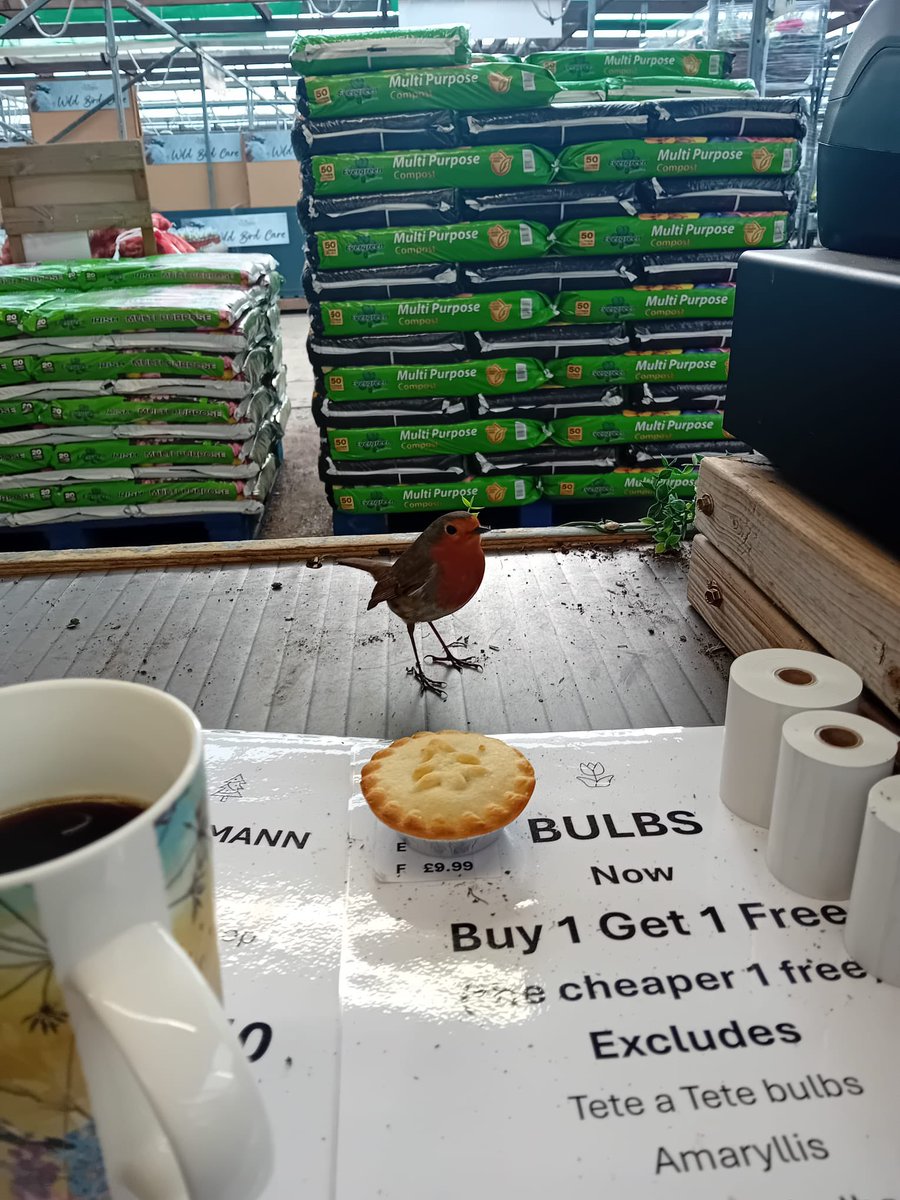 Phil Park tweet media